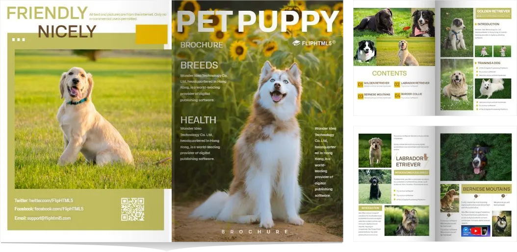 Mẫu catalogue thời trang tối giản tone trắng đen