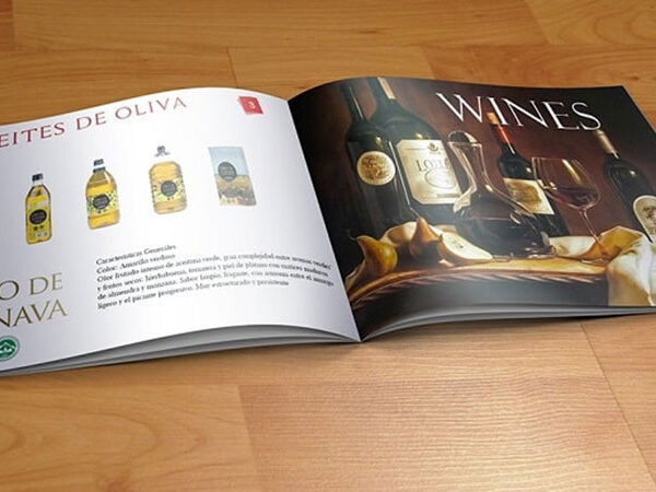 chat lieu in catalogue so luong it