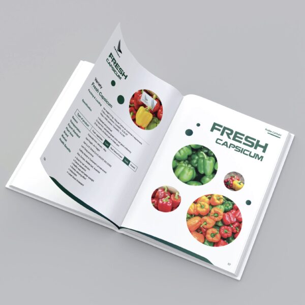 Catalogue Mỹ Phẩm - Bìa Ép Kim Sang Trọng