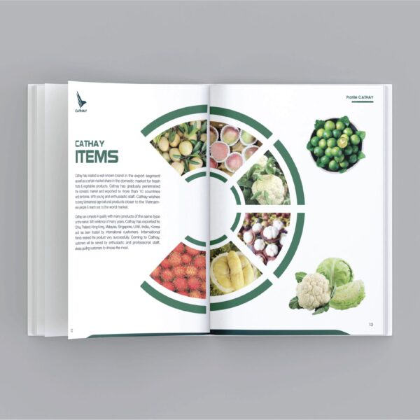 Catalogue Khổ Ngang A4 - Đóng gáy xoắn ốc tiện lợi