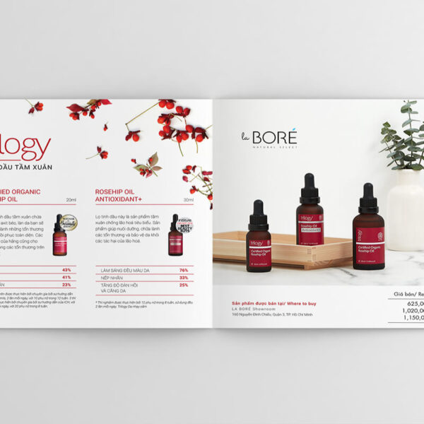 mau catalogue a4 thuc te